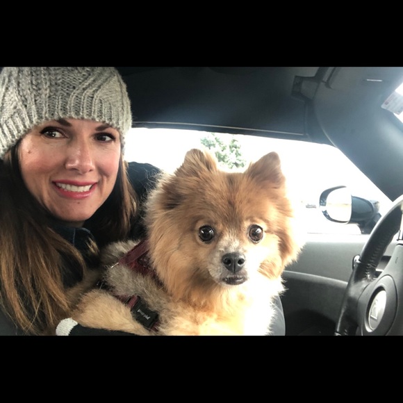 Meet your Posher, Carmella - Picture 1 of 3